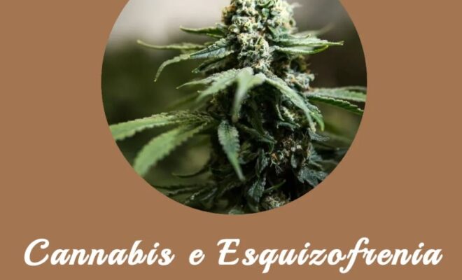 Cannabis e esquizofrenia entre jovens